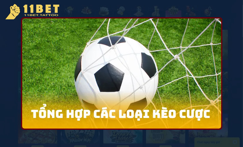 Tìm hiểu về các loại kèo cược