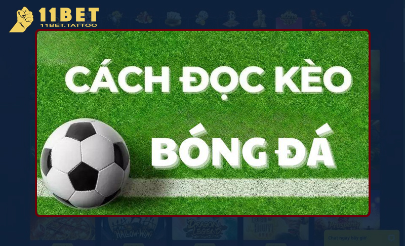 Nắm rõ về cách đọc tỷ lệ kèo trong bóng đá