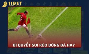 Kinh nghiệm soi kèo cược luôn thắng